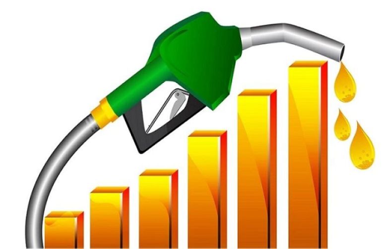 Govt may increase petroleum prices by Rs20 per litre
