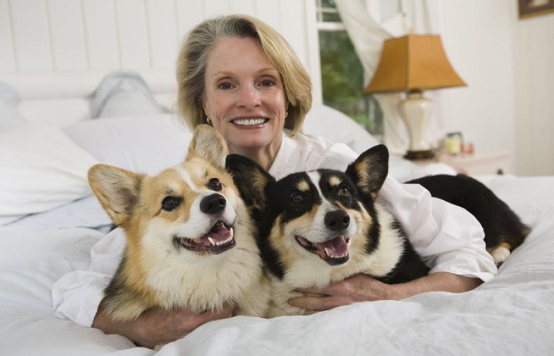 Are pets medically recommended for health benefits? 