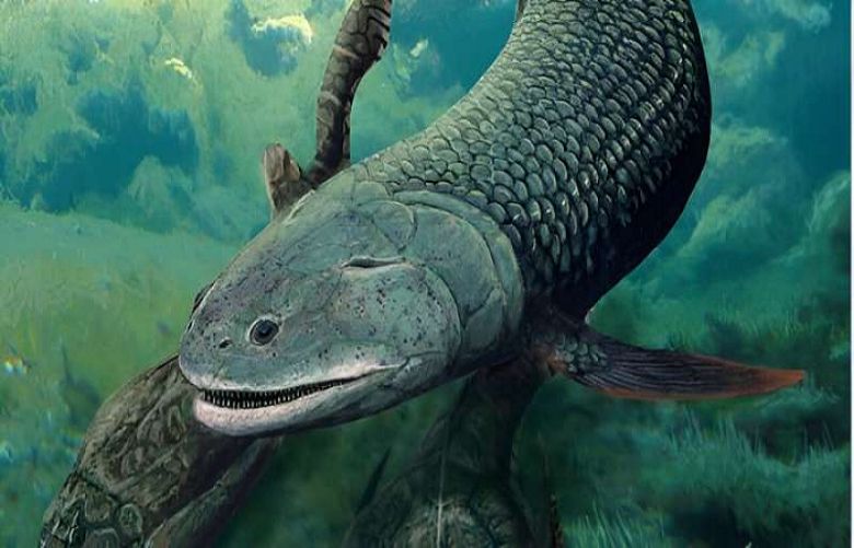 An ancient Australian air-breathing fish from 380 million years ago