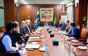 DPM Dar reviews wheat import progress