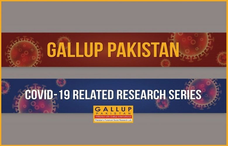 Pakistani doctors are ready to take corona vaccine: Gallup Survey