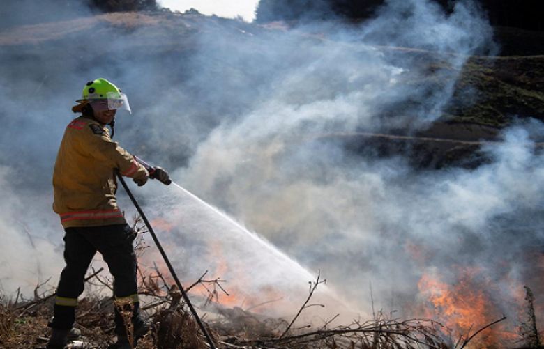 155 firefighters were battling the blaze on the ground in New Zealand
