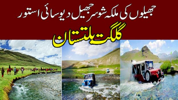 Deosai National Park Sheosar Lake Astore  (Gilgit Baltistan)