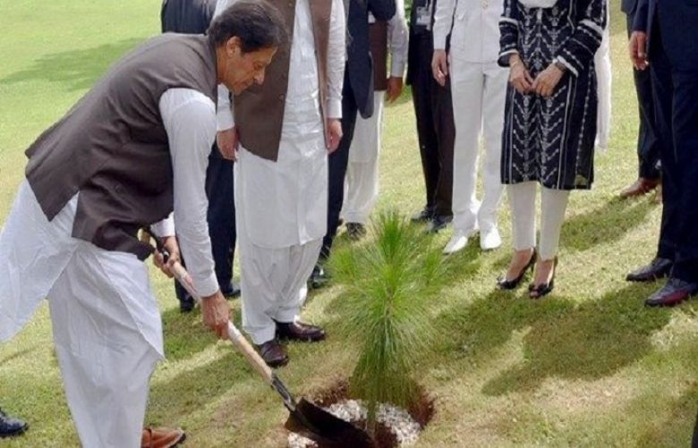 PM Imran inaugurates spring tree plantation drive at Kundian Mianwali