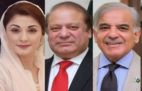 PM Shehbaz, PML-N Quaid discuss country's political situation
