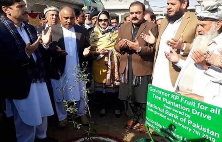 KP Governor planted sapling to inaugurate Clean &amp; Green Pakistan Campaign