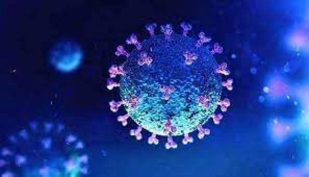 Pakistan reports 901 coronavirus cases, 23 deaths in 24 hours