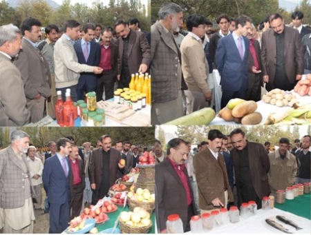 Exhibition of cultivated crops held in baltistan