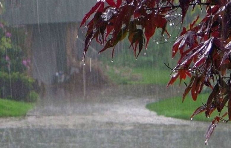 Rain, thundershower is expected in most parts of country  