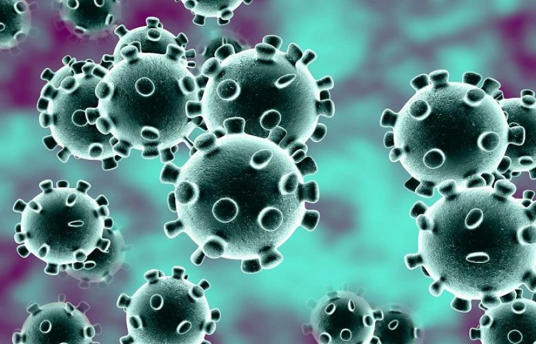 Coronavirus kills 74 more, infects 1,563 in Pakistan