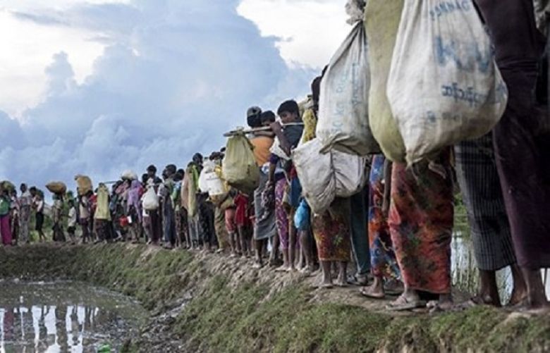 Myanmar forces continue &#039;ethnic cleansing&#039; of Rohingya, says UN