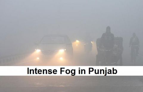 Dense fog disrupts rail,road traffic across Punjab