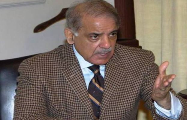 PM Shahbaz took notice of the eruption of fire at the Margalla Hills