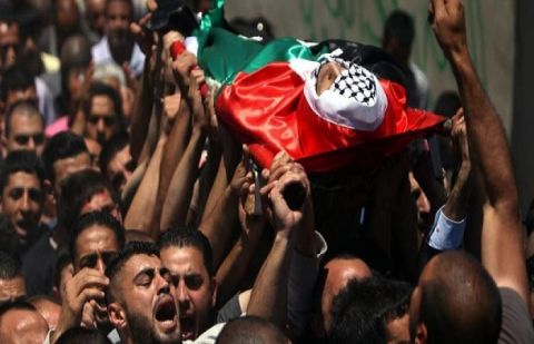 Martyrdom toll in Gaza rises to 3,785 in Israeli attacks