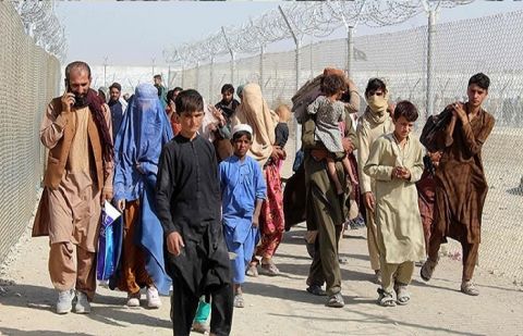 Over 200,000 illegal immigrants return to Afghanistan
