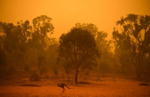 Australia faces 'extreme' heatwave, heightening bush fire risk