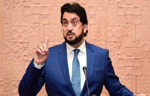 Supreme Court has summoned Minister of State for Interior Shehryar Afridi for placing names of 172 people on Exit Control List
