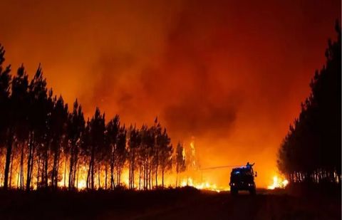Hawaii wildfire death toll hits 67