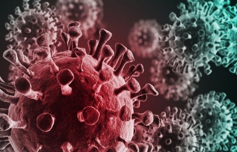 Pakistan records 46 fresh coronavirus deaths within 24 hrs 