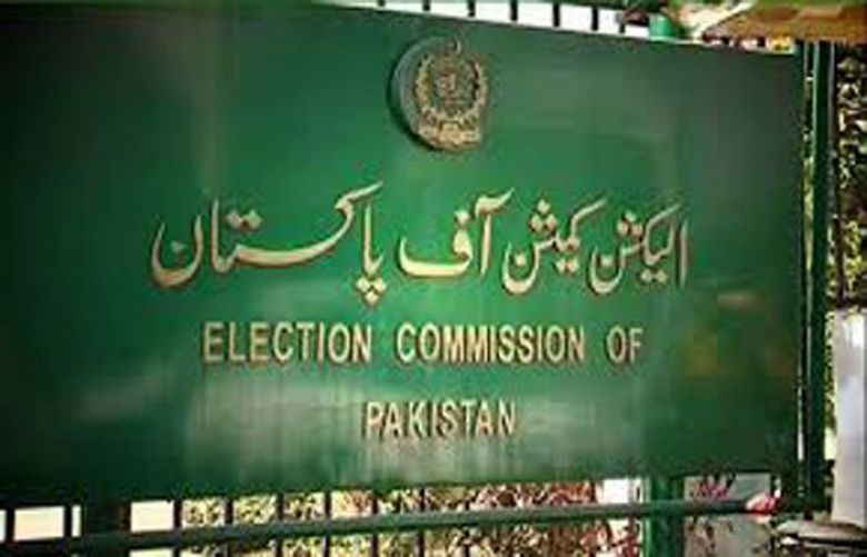 By Polls: ECP Accepts Overseas Pakistanis’ Right To Vote