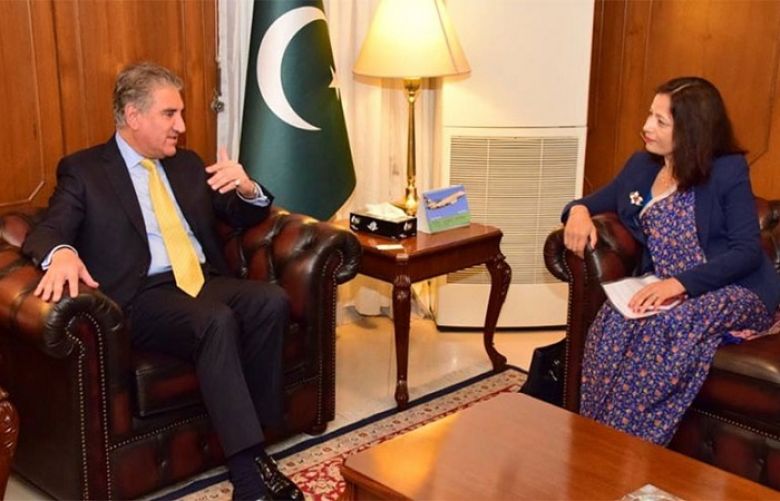 Nepalese envoy, FM Qureshi discuss matters of mutual interest