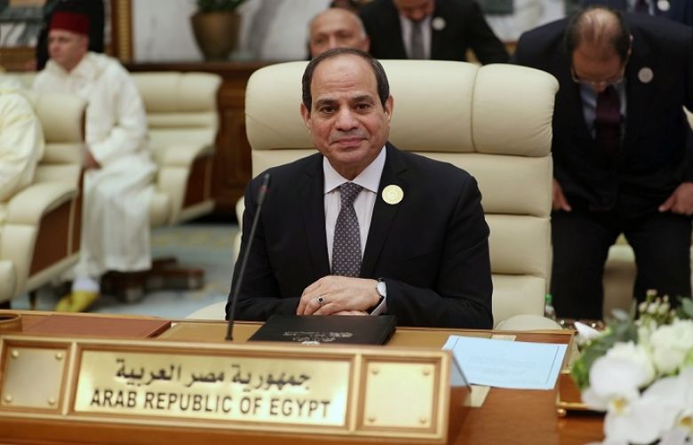 Pro-Sisi party wins majority in Egypt&#039;s parliamentary polls