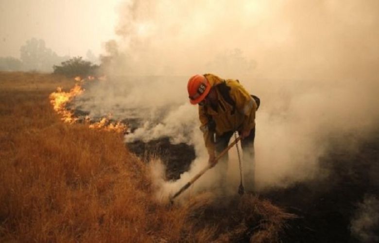 The report warns that the frequency of wildfires could increase if climate change is unchecked