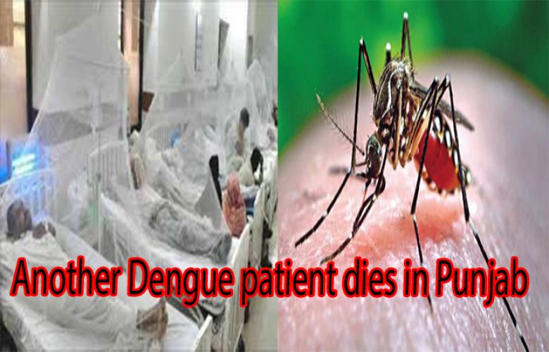 Another dengue patient dies in Punjab over last 24 hours