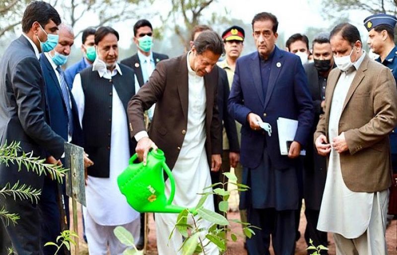 Photo of PM Imran launches Miyawaki Urban Forest in Lahore