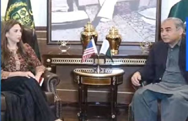 Mohsin Naqvi, US envoy hold talks on Indo-Pak tensions – SUCH TV