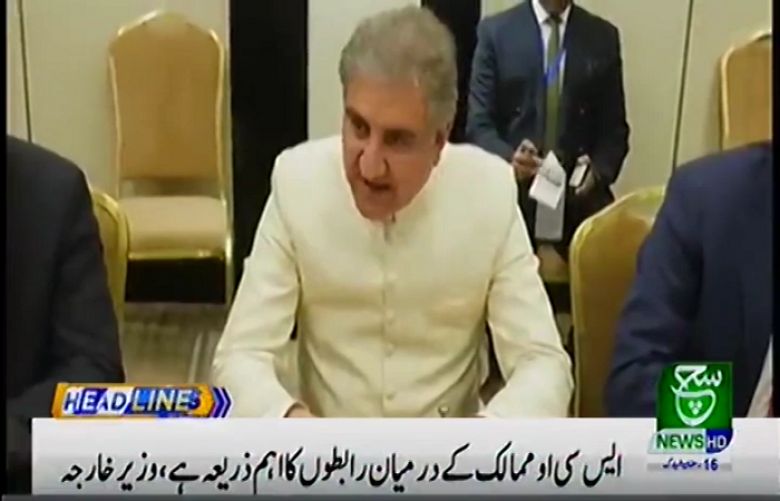 FM Qureshi urges for collective efforts at SCO to cope challenges