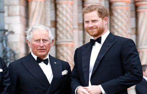 King Charles missile tells Prince Harry: 'Pain will not be forgotten'