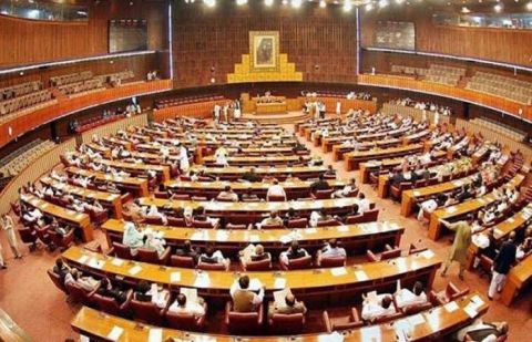 ECP rules out early Senate elections