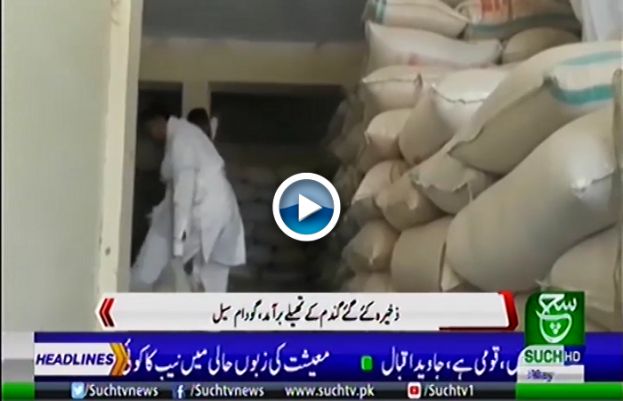 Haroon abad administration in action against wheat stockers