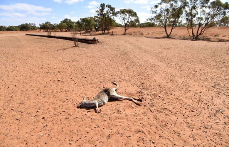 Australia’s environment is poor, deteriorating