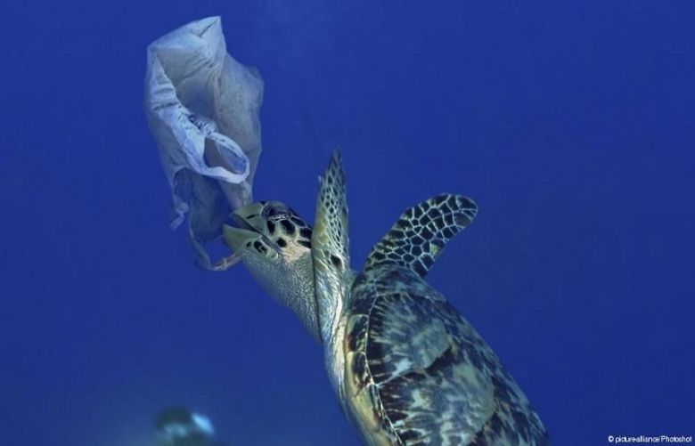 Plastic is literally forever — it never actually biodegrades, only breaks down into ever-smaller pieces
