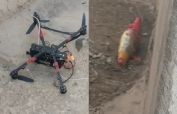 Security forces shoot down five drones in Balochistan