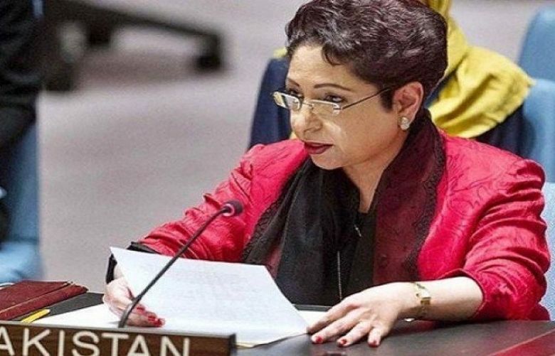 UN Urged To Implement Resolutions Regarding Kashmir, Palestine