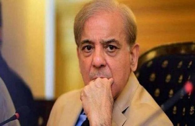 TI is the proof of ineffective system of Pakistan: Shehbaz Sharif 