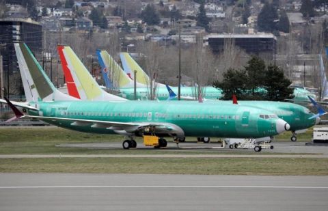 A number of countries have banned Boeing's 737 MAX 8 medium-haul workhorse jet from their airspace