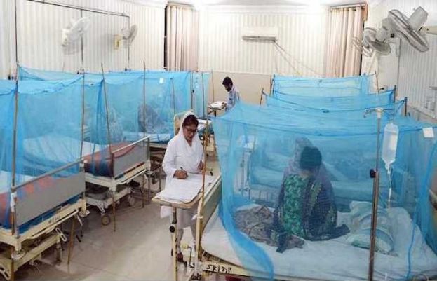 Dengue claims three more lives in punjab today 