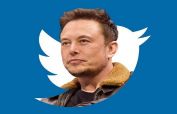 Musk wants Twitter employees who count bots questioned