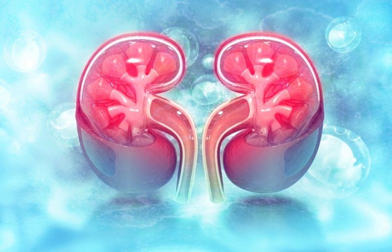 Chronic kidney disease, also called chronic kidney failure, involves a gradual loss of kidney function.