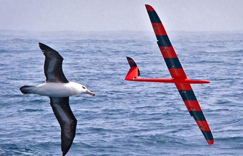 Self-flying glider ‘learns’ to soar like a bird