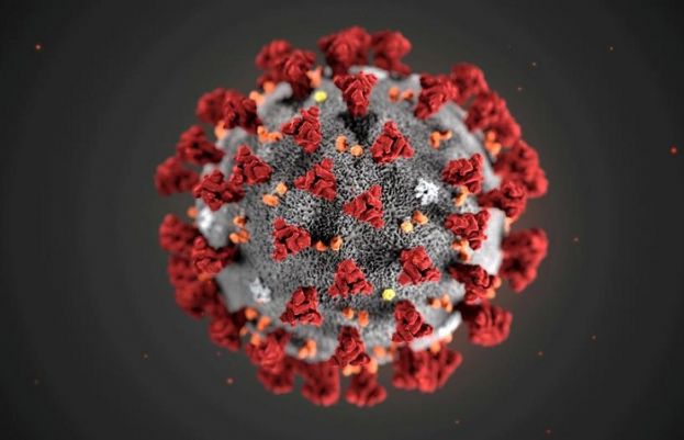 Pakistan reports 1,843 coronavirus cases in 24 hours
