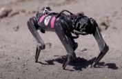 Scientists train robo-dog on Mount Hood for 'out of this world' mission