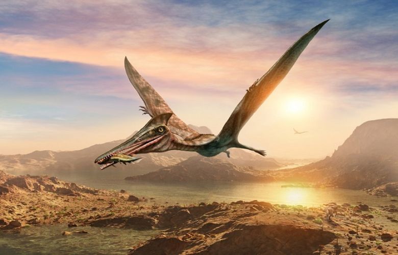 Scientists clarify origins of pterosaurs, the dinosaur era’s flying reptiles