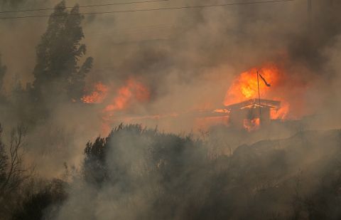 At least 51 people dead in Chile wildfires