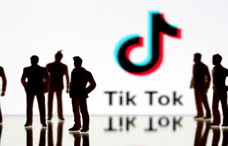  TikTok launched an online information hub