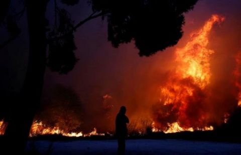 Greek wildfire kills at least 24 near Athens, residents flee homes
